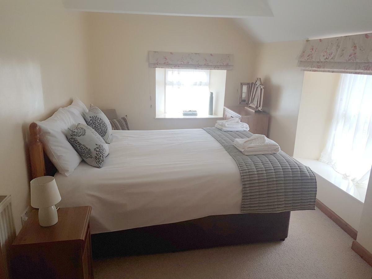 纽波特 Llwyngwair Manor, Newport, Pembrokeshire酒店 外观 照片